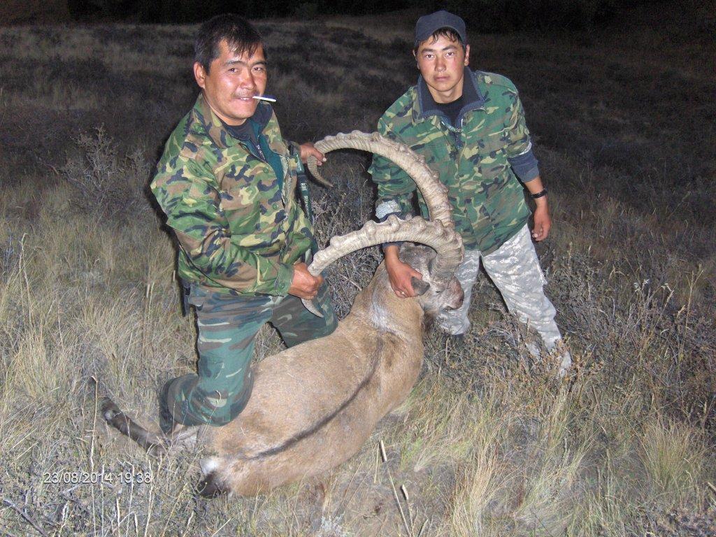 Ibex-kasakhstan