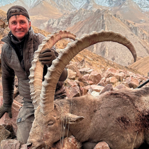Mid Asian Ibex i Kirgisistan